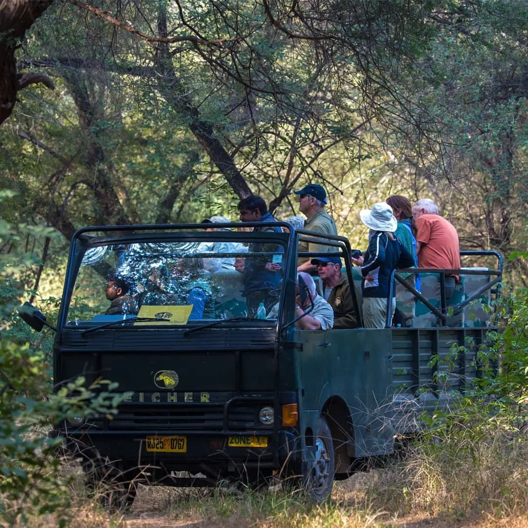Canter Safari